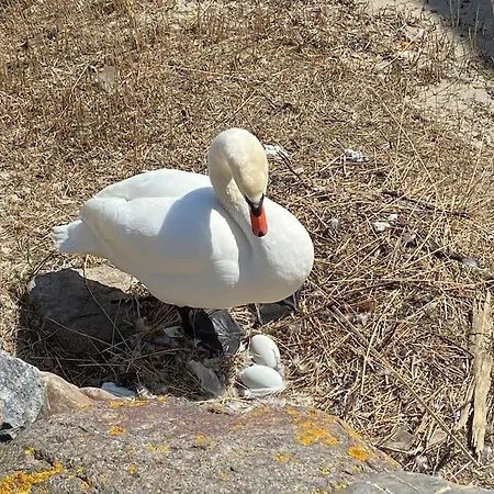 Wasserblick, In 3 Min Am