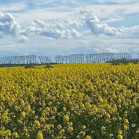 Apartment Wasserblick, In 3 Min Am *
